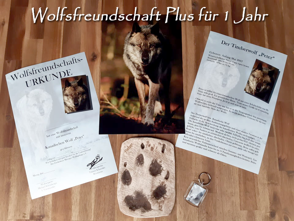 Wolfsfreundschaft Plus